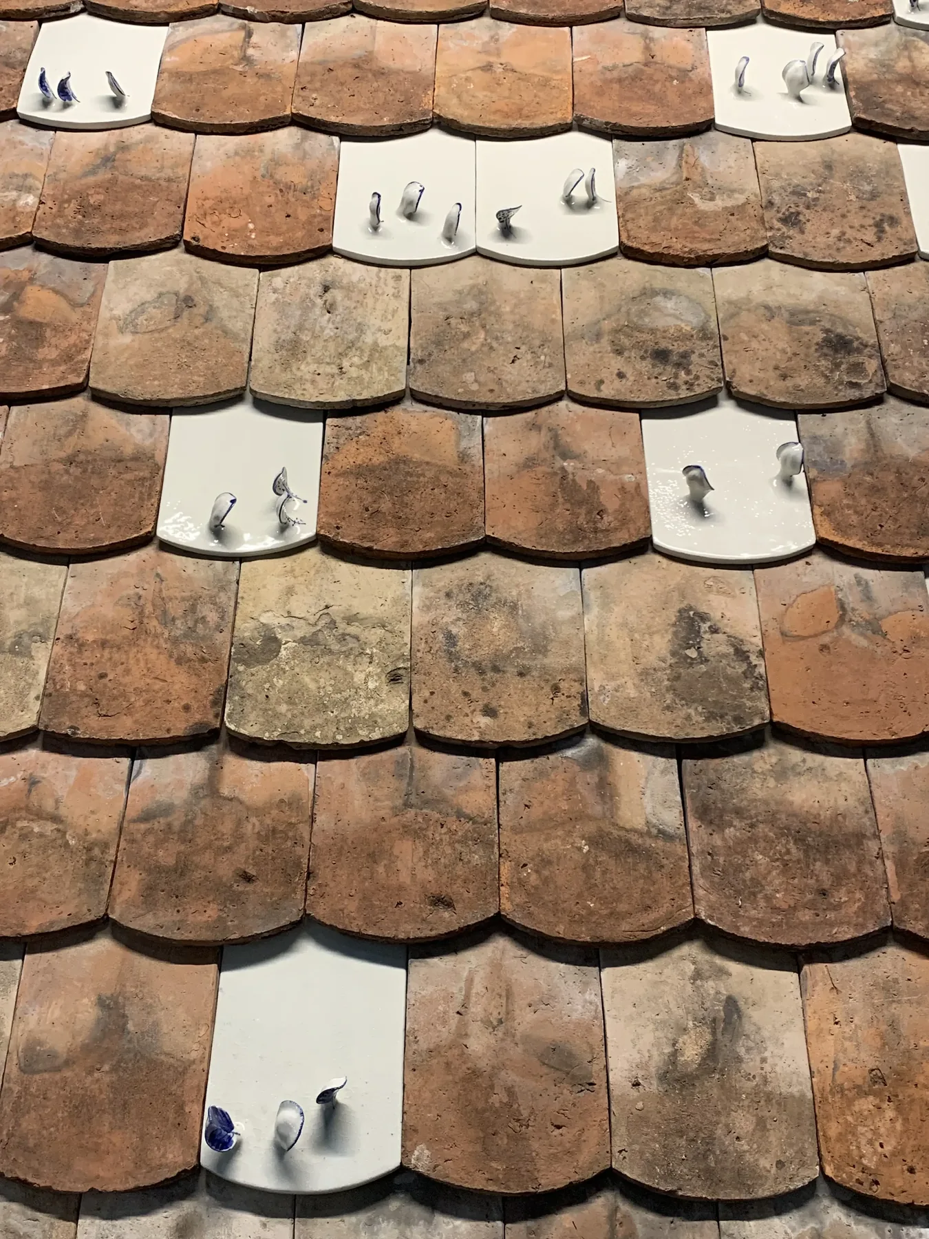 « Wandering Roof » d'Anush Ghukasyan — photo Margaux Laurent